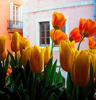 Boutique Hotel Davallada- Adults Only Ситжес Екстериор снимка